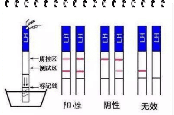 阳性阴性什么意思图2