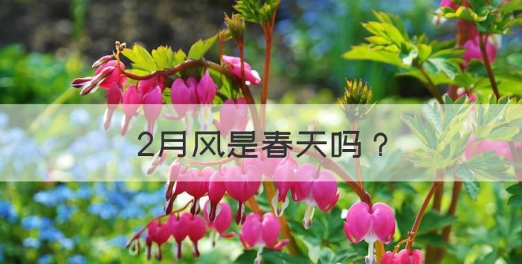 2月风是春天，2月份是春天还是冬天图1