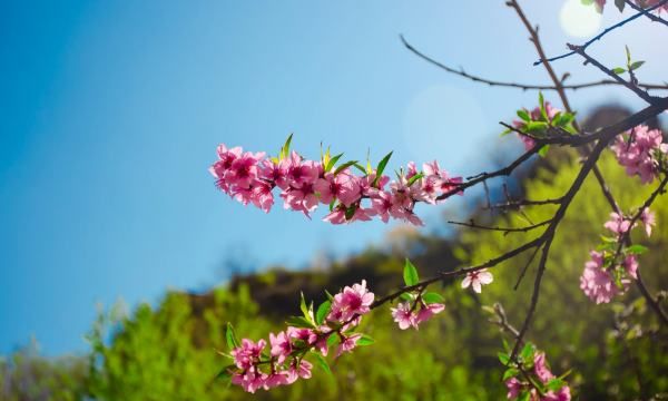 2月风是春天，2月份是春天还是冬天图3