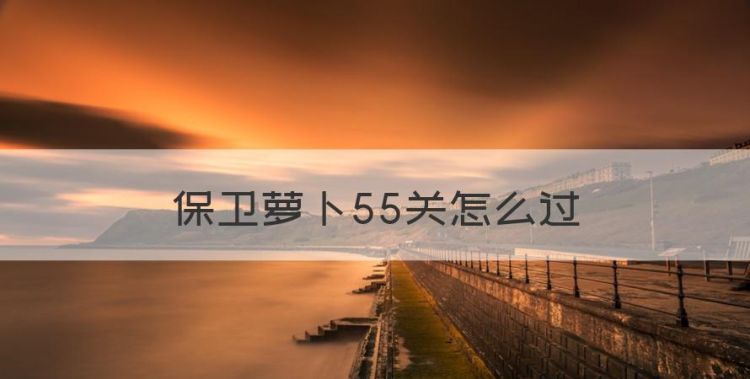 保卫萝卜55关怎么过，《保卫萝卜3》码头第16关图文攻略