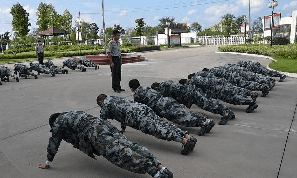 双杠屈伸标准多少个，双杠臂屈伸有什么用图2