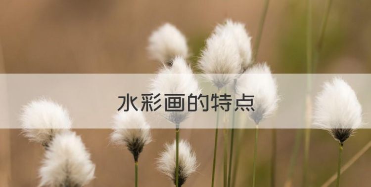 水彩画的特点，属于绘画的画科分类图1