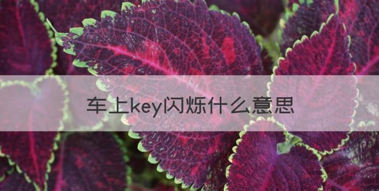 车上key闪烁什么意思，汽车指示灯key亮是什么意思图1