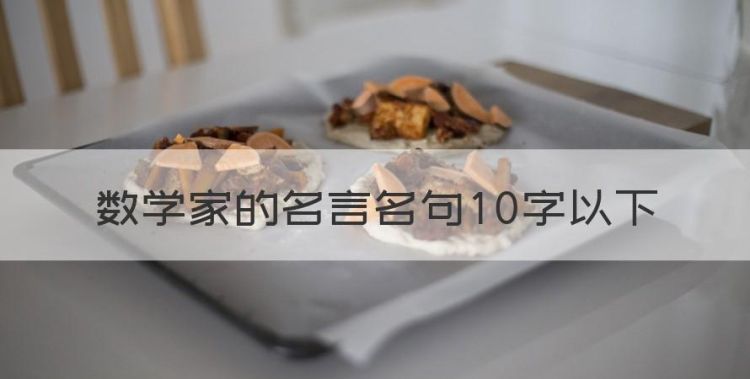 数学家名言，数学家的名言名句0字以下图1