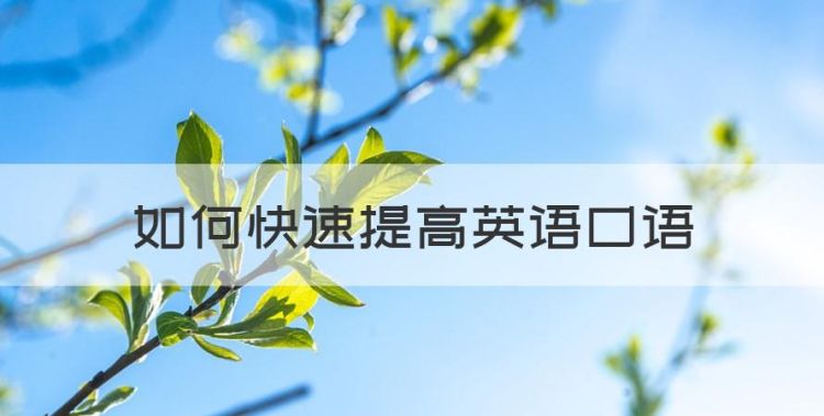 如何快速提高英语口语，如何提高英语口语水平英语作文图1