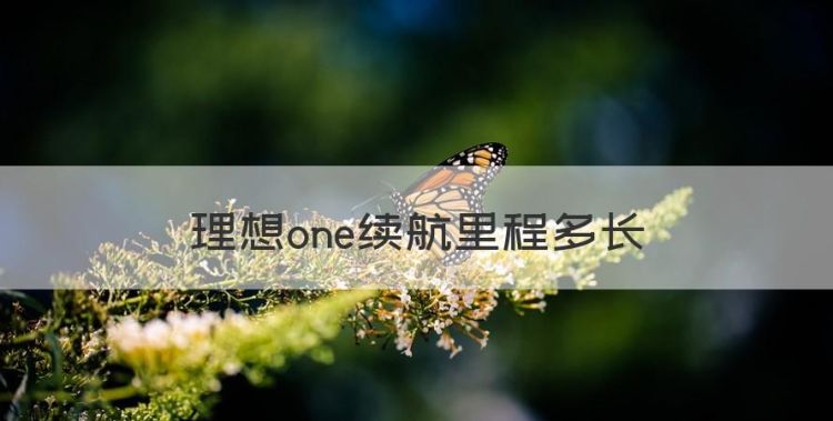 理想one续航里程多长，理想one纯电续航多少公里图1