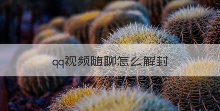 qq随聊怎么解封，添加黑名单怎么操作图1