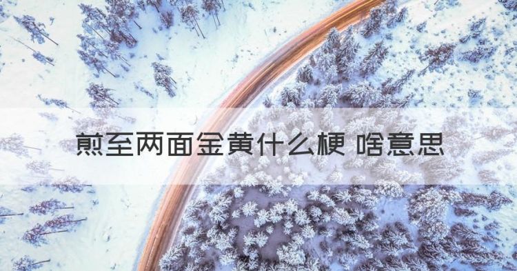 煎至两面金黄什么梗 啥意思，汕头火烧芹菜什么意思 潮汕图1