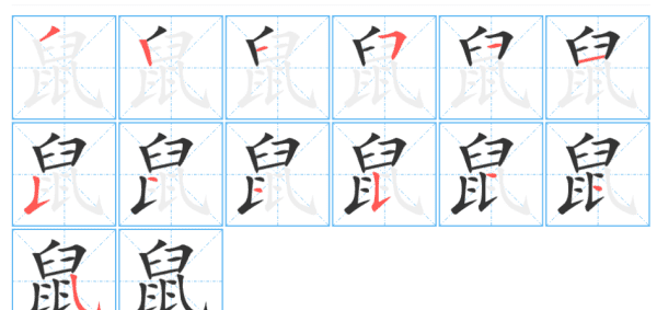 老鼠拼音怎么打，鼠的拼音 是一种怎么样的生物图3