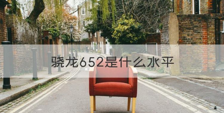 骁龙652是什么水平，高通骁龙695和888哪个比较好图1