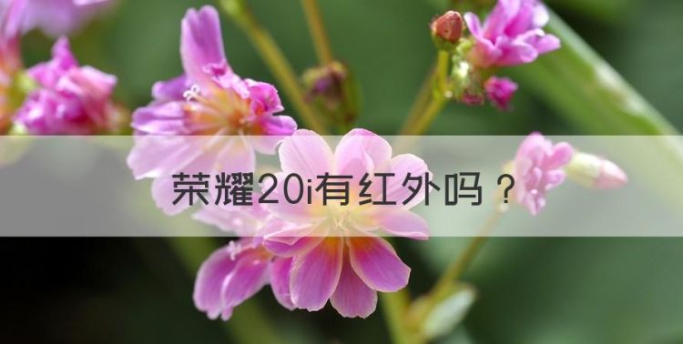 荣耀20i有红外，荣耀20有红外遥控功能吗图1