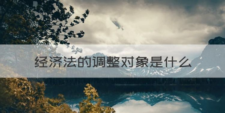 经济法的调整对象是什么图1