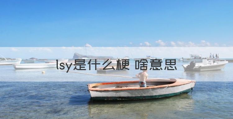 lsy是什么意思，lsy是什么梗 啥意思图1