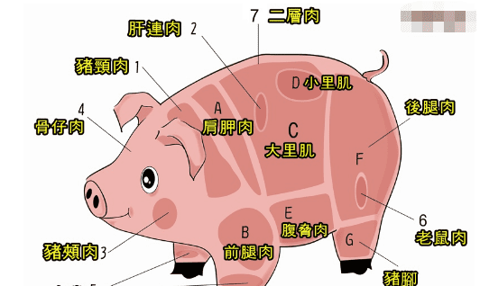 一号肉是哪一个部位，分割猪肉是如何区分一号二号三号等肉的呢图2