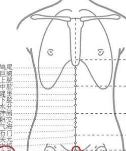 曲骨穴位的位置和作用，女人曲骨的准确位置图图2