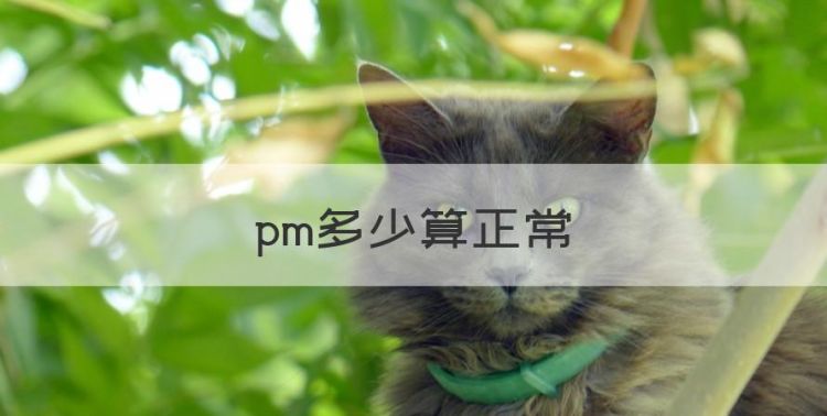 pm多少算正常，pm2.5多少算正常范围