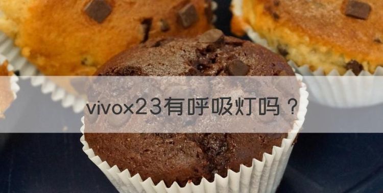 vivox23有呼吸灯图1