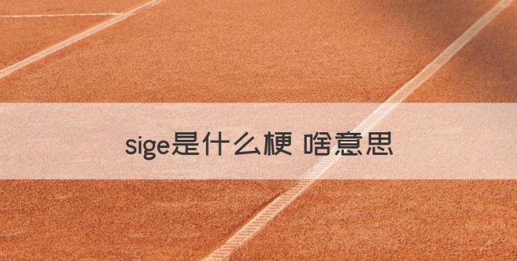 sige是什么梗 啥意思，日语的厉害怎么说中文谐音图1