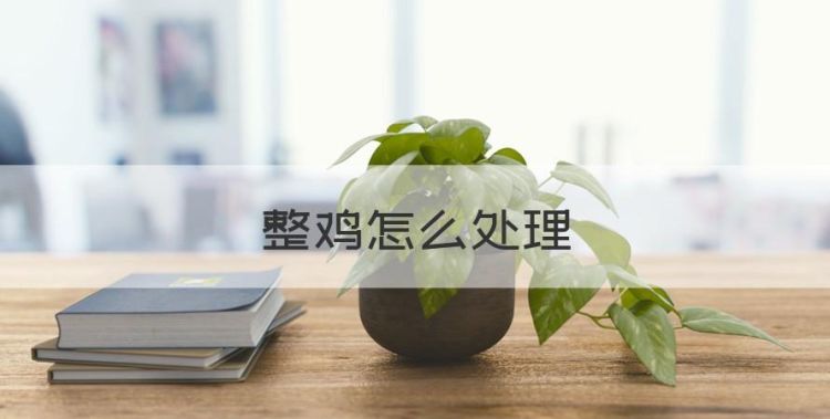 整鸡怎么处理，清炖鸡肉的正确方法图1