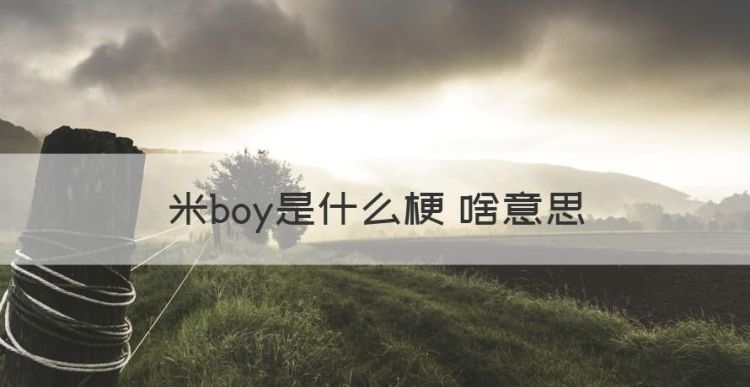 为什么都说米，米boy是什么梗 啥意思图1