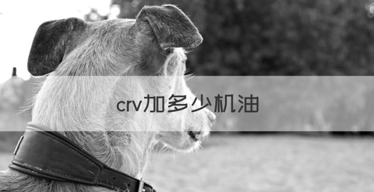 crv加多少机油，crv需要加多少机油图1