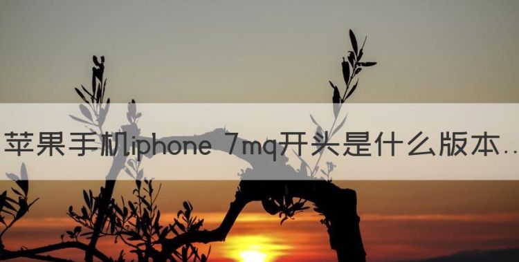 苹果手机iphone 7mq开头是什么版本图1