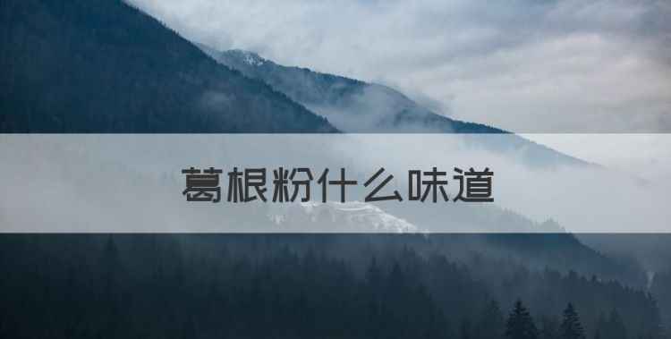 葛根粉什么味道，养立方葛根粉的功效图1