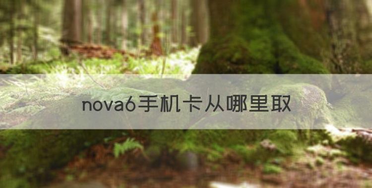 nova6手机卡从哪里取图1