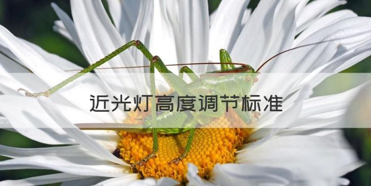 近光灯高度调节标准，汽车近光灯怎么调高低图1