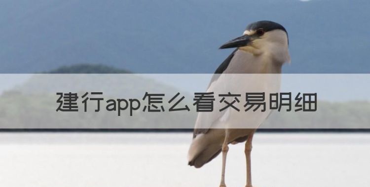 建行app怎么看交易明细，建行手机银行下载app最新版图1