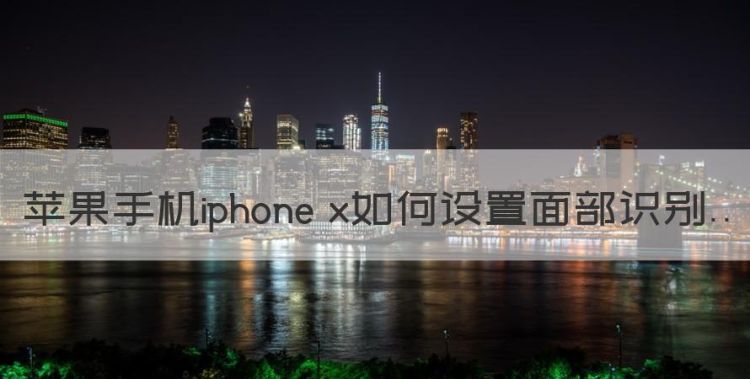 苹果手机iphone x如何设置面部识别图1