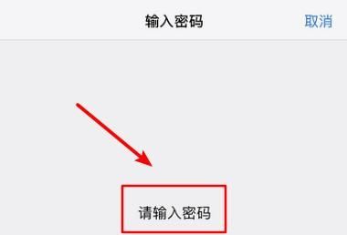 苹果手机iphone x如何设置面部识别图10