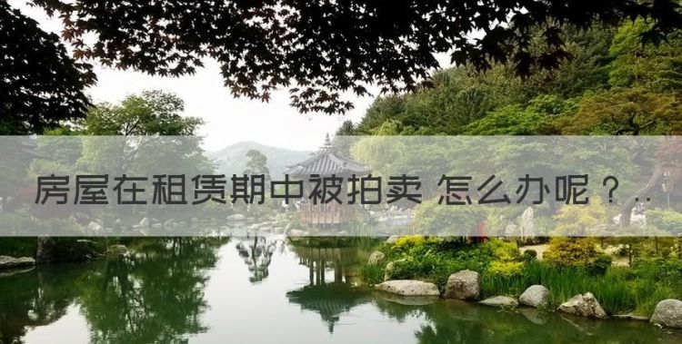 租房期间房子被卖了怎么办，房屋在租赁期中被拍卖 怎么办图1