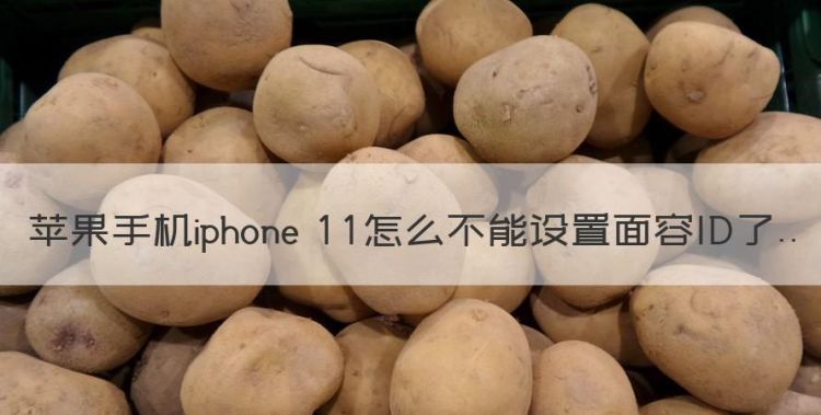 苹果手机iphone 怎么不能设置面容ID了图1