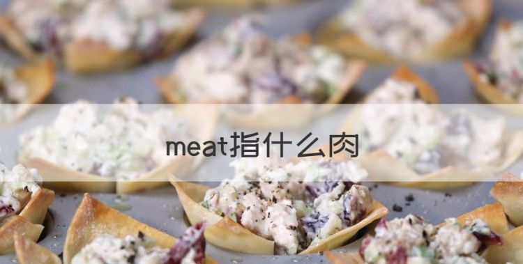 meat指什么肉，meat是什么意思图1