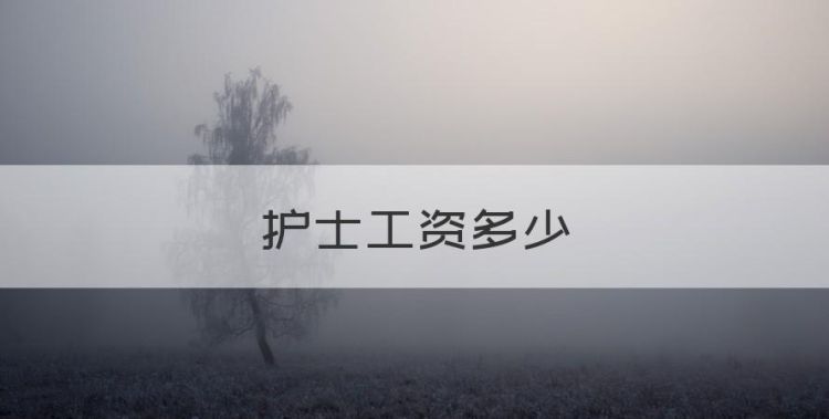 护士工资多少，护理学专业工资一般多少图1