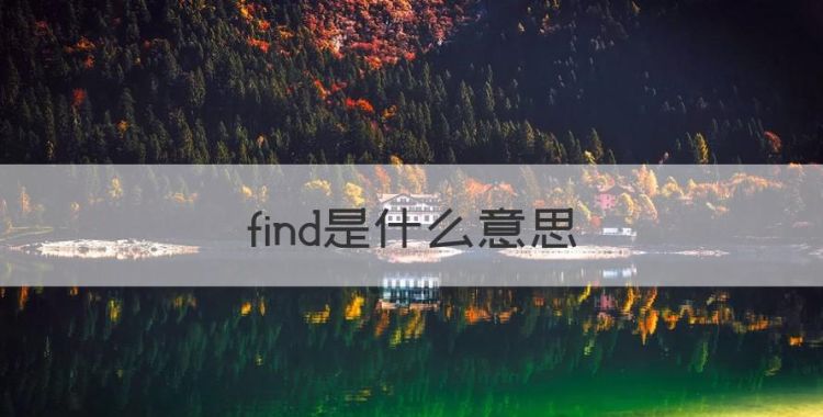 find是什么意思，find是什么中文意思图1