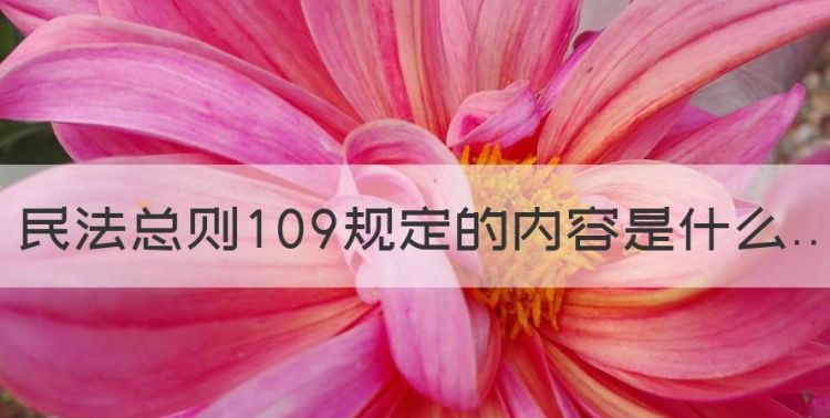 民法总则09条如何理解，民法总则09规定的内容是什么