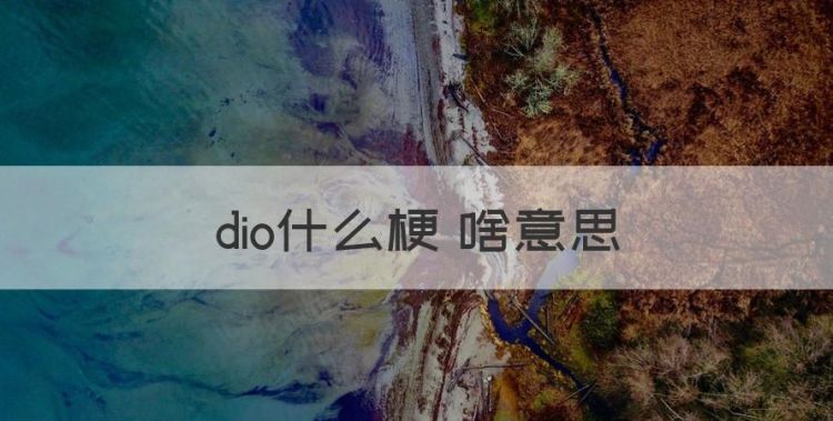 dio什么梗 啥意思，无图言dior什么意思图1