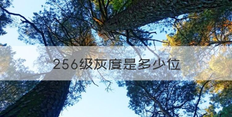 256级灰度是多少位图1