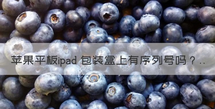 苹果平板ipad 包装盒上有序列号图1