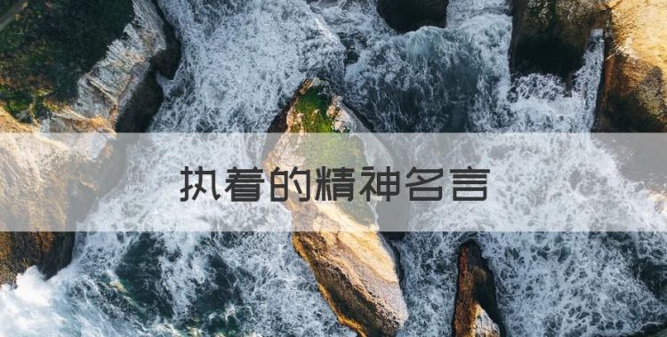 执着的精神名言，关于执着的名人名言图1