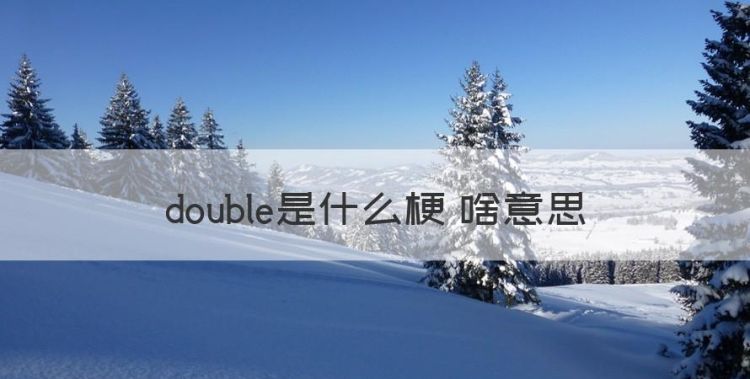 double是什么梗，double是什么梗 啥意思图1