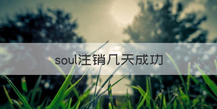 soul注销几天成功，注销soul账号需要几天是什么样子的图1