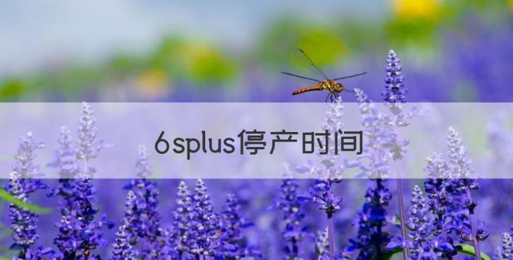 6splus停产时间，苹果6sp停产了吗图1