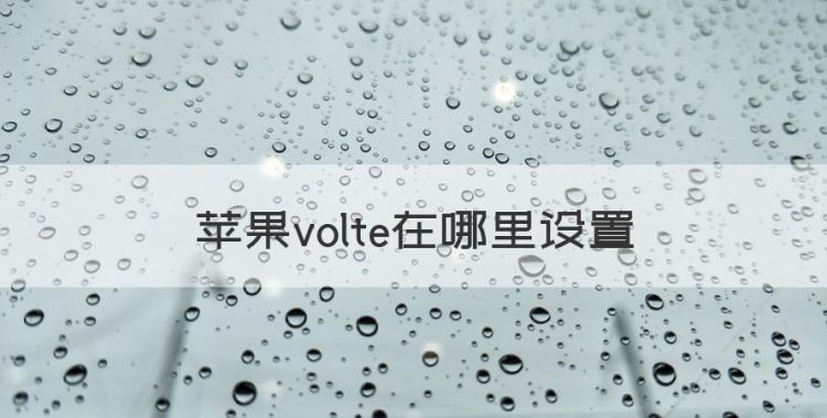 苹果volte在哪里设置，苹果手机怎么设置Volte图1