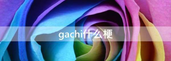 gachi距离什么梗 啥意思，gachi恋距离 是什么意思图2