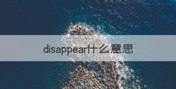 disappear什么意思图1