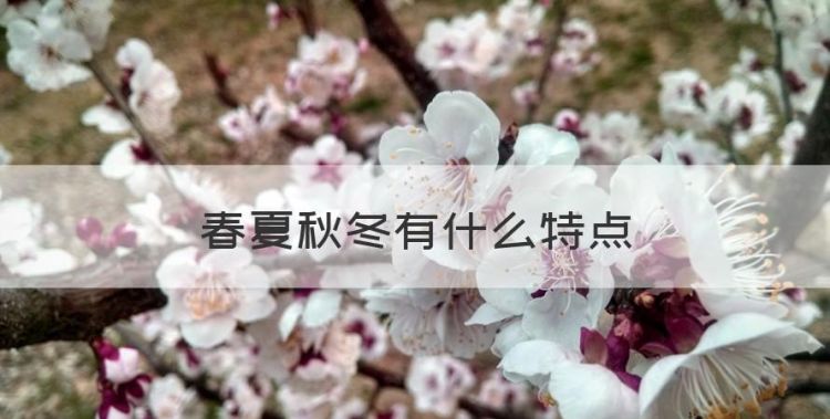 春夏秋冬的特点，春夏秋冬有什么特点图1