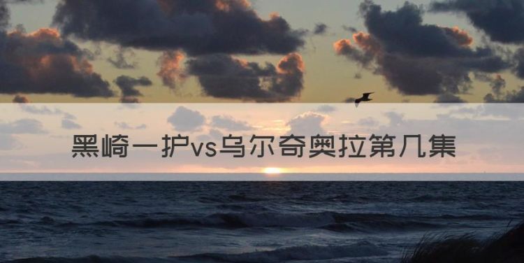 黑崎一护vs乌尔奇奥拉第几集图1